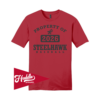 DISTRICT UNISEX T-SHIRT STEELHAWKS-FR