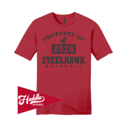 DISTRICT UNISEX T-SHIRT STEELHAWKS-FR