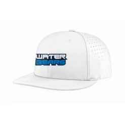 FLEX FIT CAP PTS30 WATER-BEARS-2026-1
