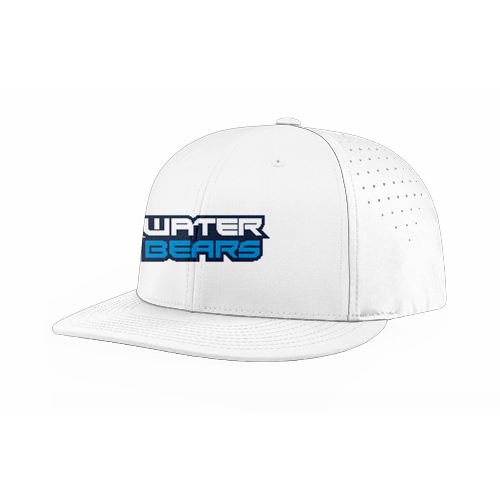 FLEX FIT CAP PTS30 WATER-BEARS-2026-1