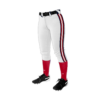 WOMENS FASTPITCH PANT MOV-PRIDE-1
