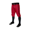 MENS BASEBALL KNICKER PANT SPARTANS-1