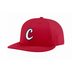 FLEX FIT CAP PTS30 COLUMBUS-REDBIRDS-1