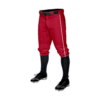 MENS BASEBALL KNICKER PANT COLUMBUS-REDBIRDS-2