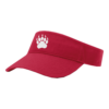 VISOR R160 BIG-BEAR