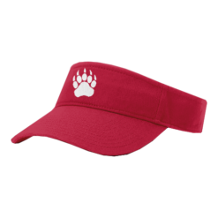 VISOR R160 BIG-BEAR
