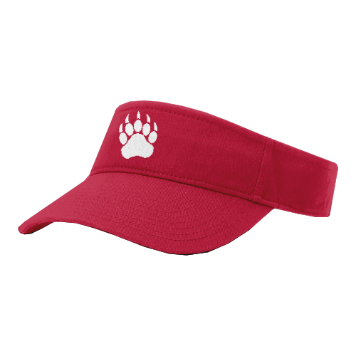 VISOR R160 BIG-BEAR