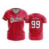 WOMENS V-NECK BIG-BEAR