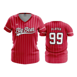 WOMENS V-NECK BIG-BEAR