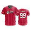 MENS SPORT V-NECK BIG-BEAR