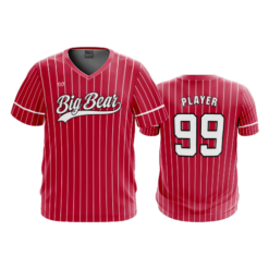 MENS SPORT V-NECK BIG-BEAR