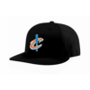 FLEX FIT CAP PTS30 IBEW-LOCAL-38-NEW-HAT