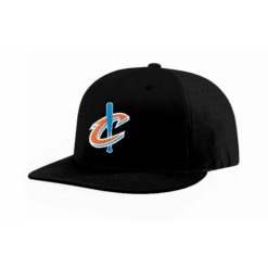 FLEX FIT CAP PTS30 IBEW-LOCAL-38-NEW-HAT