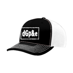 FLEX FIT CAP 172 DGPE-NEW-WORLD1