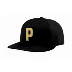 FLEX FIT CAP PTS30 PAIRE-1