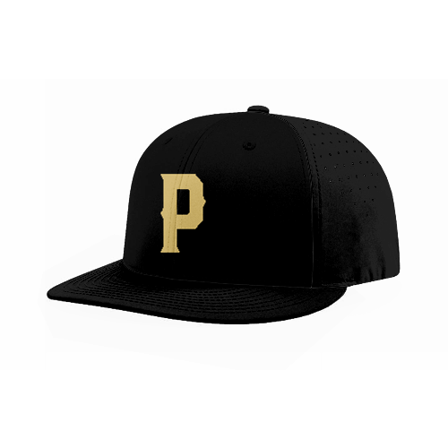 FLEX FIT CAP PTS30 PAIRE-1