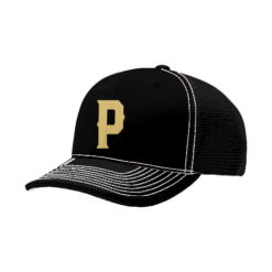 FLEX FIT CAP 172 PAIRE-2