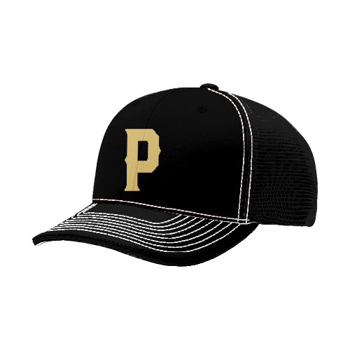 FLEX FIT CAP 172 PAIRE-2