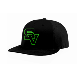 FLEX FIT CAP PTS30 VENOM-1