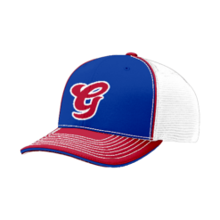 FLEX FIT CAP 172 DGPE-BRAVES