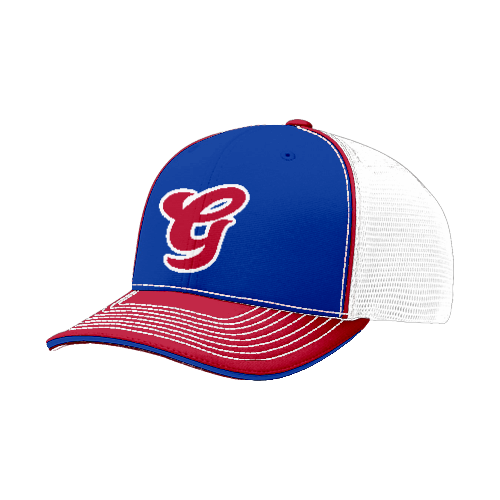 FLEX FIT CAP 172 DGPE-BRAVES