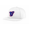 FLEX FIT CAP PTS30 DGPE-BRAVES