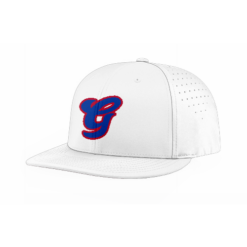 FLEX FIT CAP PTS30 DGPE-BRAVES