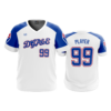 MENS SPORT V-NECK DGPE-BRAVES
