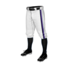 MENS BASEBALL KNICKER PANT 460-CES-2