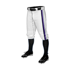 MENS BASEBALL KNICKER PANT 460-CES-2