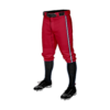 MENS BASEBALL KNICKER PANT COLUMBUS-SHARKS-RED