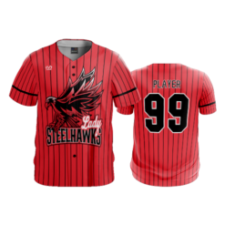 MENS HEAVYWEIGHT FULL BUTTON DOWN LADY-STEELHAWKS-1