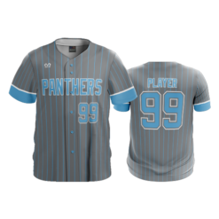 MENS HEAVYWEIGHT FULL BUTTON DOWN OHIO-PANTHERS-1