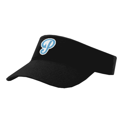 VISOR R160 OHIO-PANTHERS-3