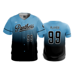 MENS HEAVYWEIGHT FULL BUTTON DOWN OHIO-PANTHERS-3