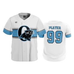 MENS HEAVYWEIGHT FULL BUTTON DOWN OHIO-PANTHERS-4