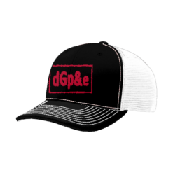 FLEX FIT CAP 172 DGPE-TOO-SWEET