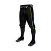 MENS BASEBALL KNICKER PANT DGPE-TAMPA-BAY