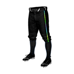 MENS BASEBALL KNICKER PANT DGPE-TAMPA-BAY
