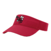 VISOR R160 SWARM-1