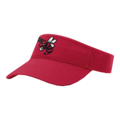 VISOR R160 SWARM-1