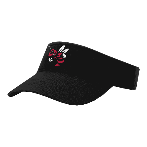 VISOR R160 SWARM-2