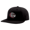 FLEX FIT CAP PTS30 HILLSBORO-BOWLING