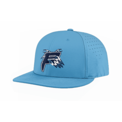 FLEX FIT CAP PTS30 BEAST-FIXES